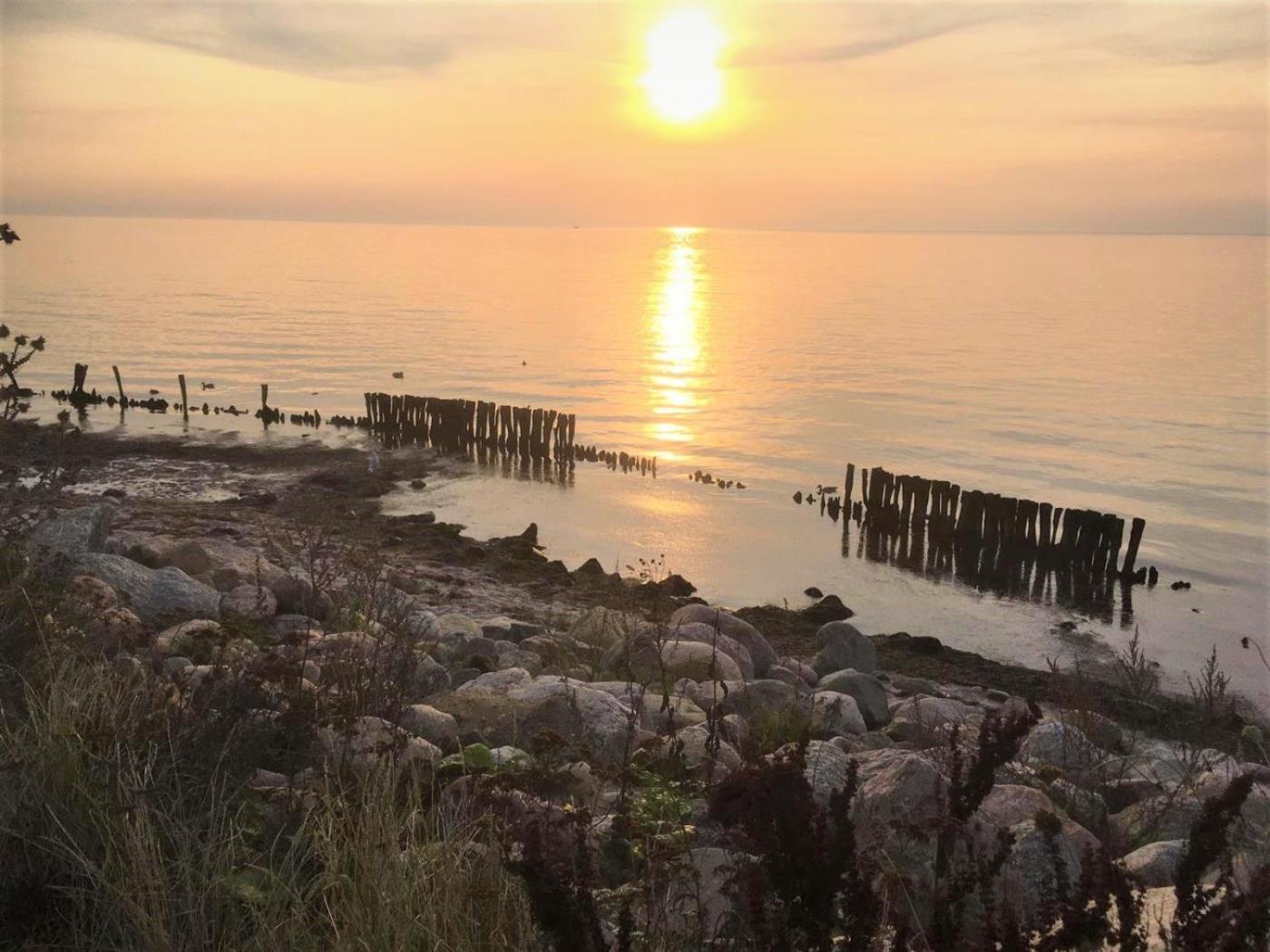 Dahmer Strand 18 Muschelhus Экстерьер фото